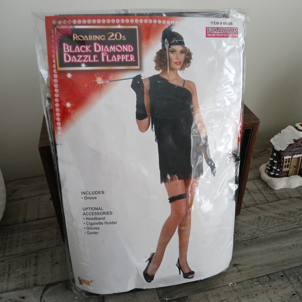 Women's Halloween Flapper Costume With Accessories One Size Fits Up To 14/16